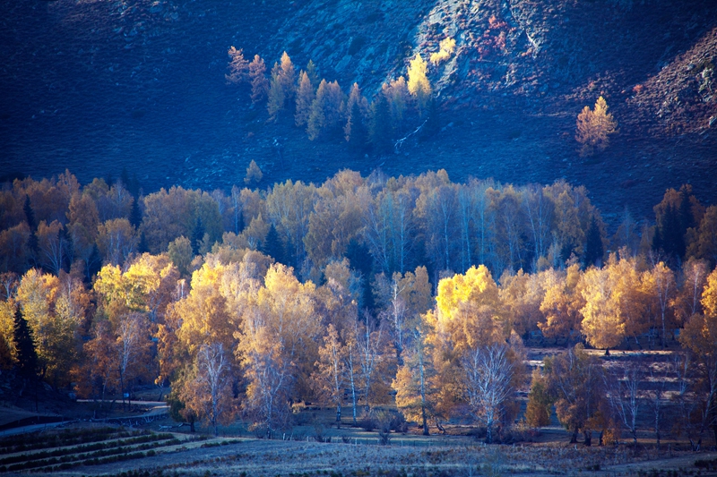 _MG_86371.jpg