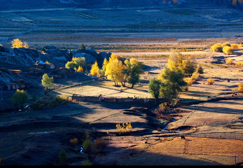 _MG_86471.jpg
