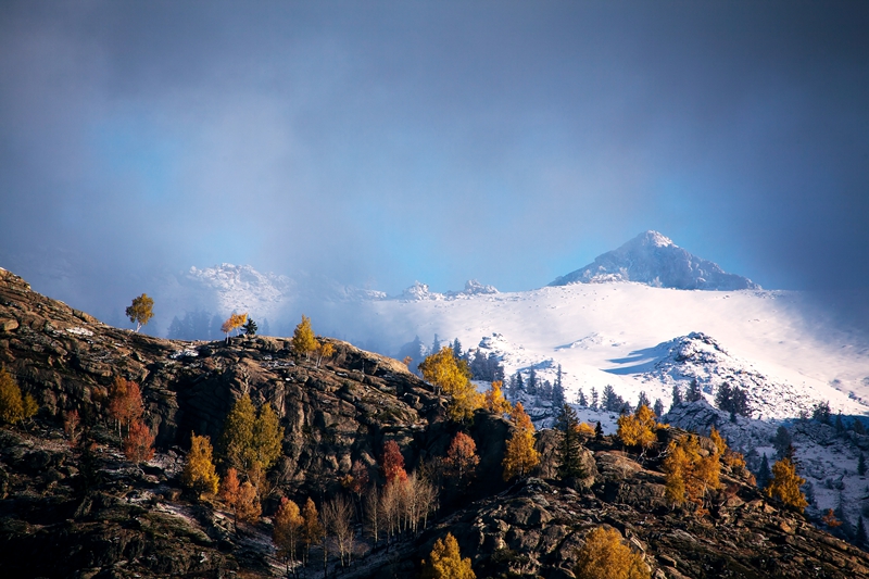 _MG_86511.jpg