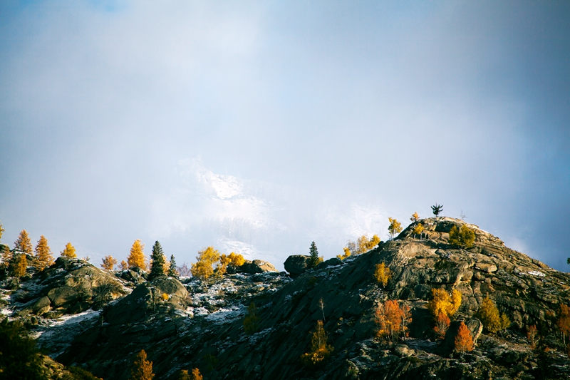 _MG_86541.jpg