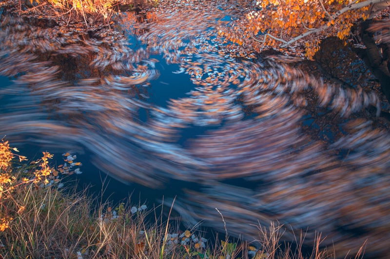 _MG_93381.jpg