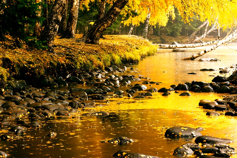 _U0A40121.jpg