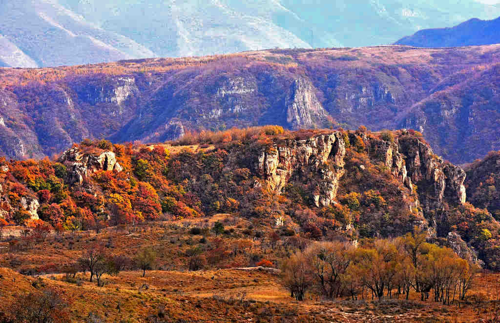 DSC_2343С.jpg