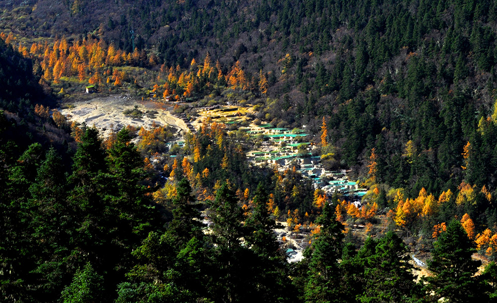 DSC_0132.JPG