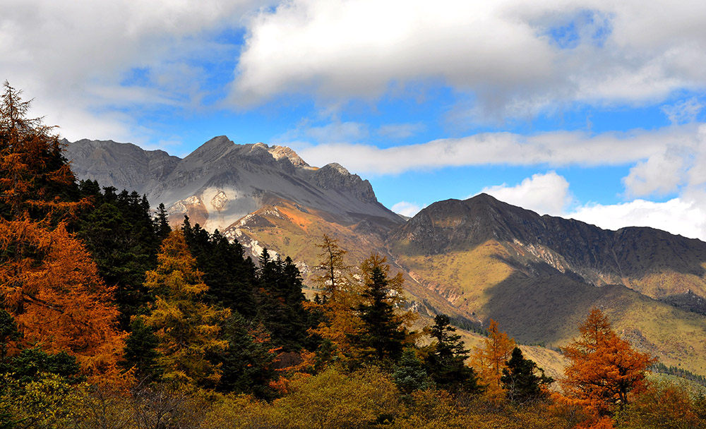 DSC_0180.JPG
