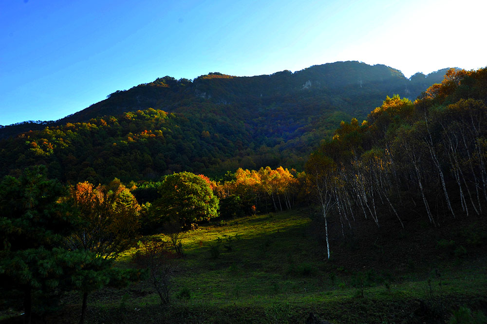 DSC_4775.JPG