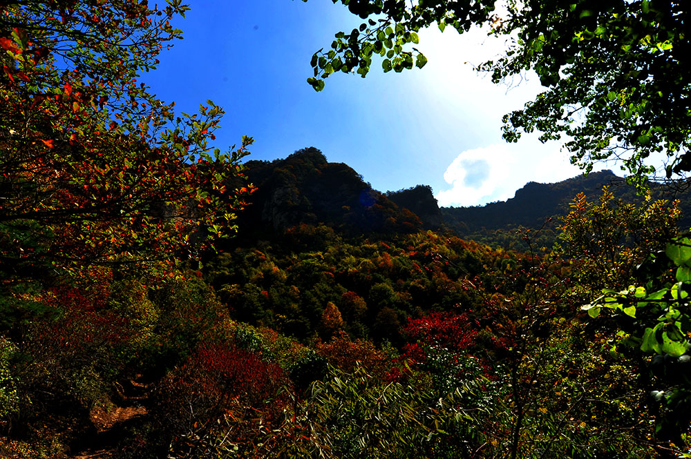 DSC_4910.JPG