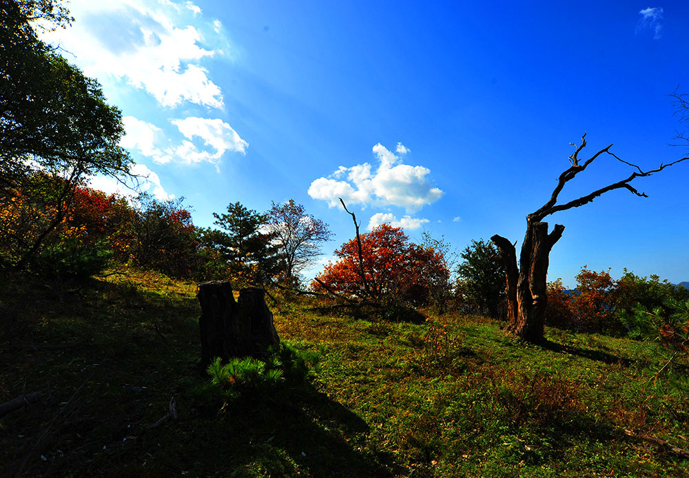 DSC_4937.JPG