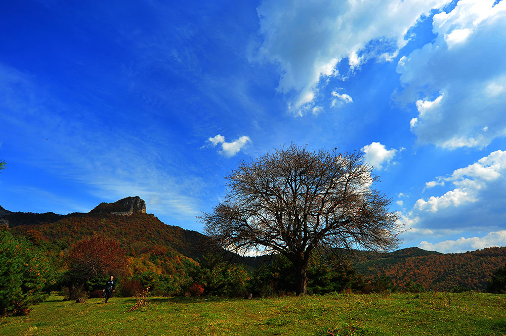 DSC_5001.JPG