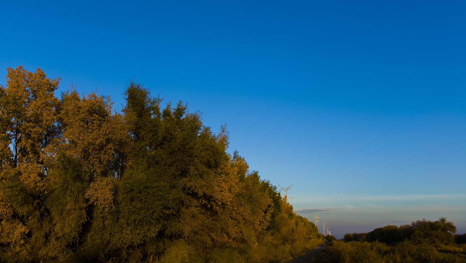 _DSC3808.JPG