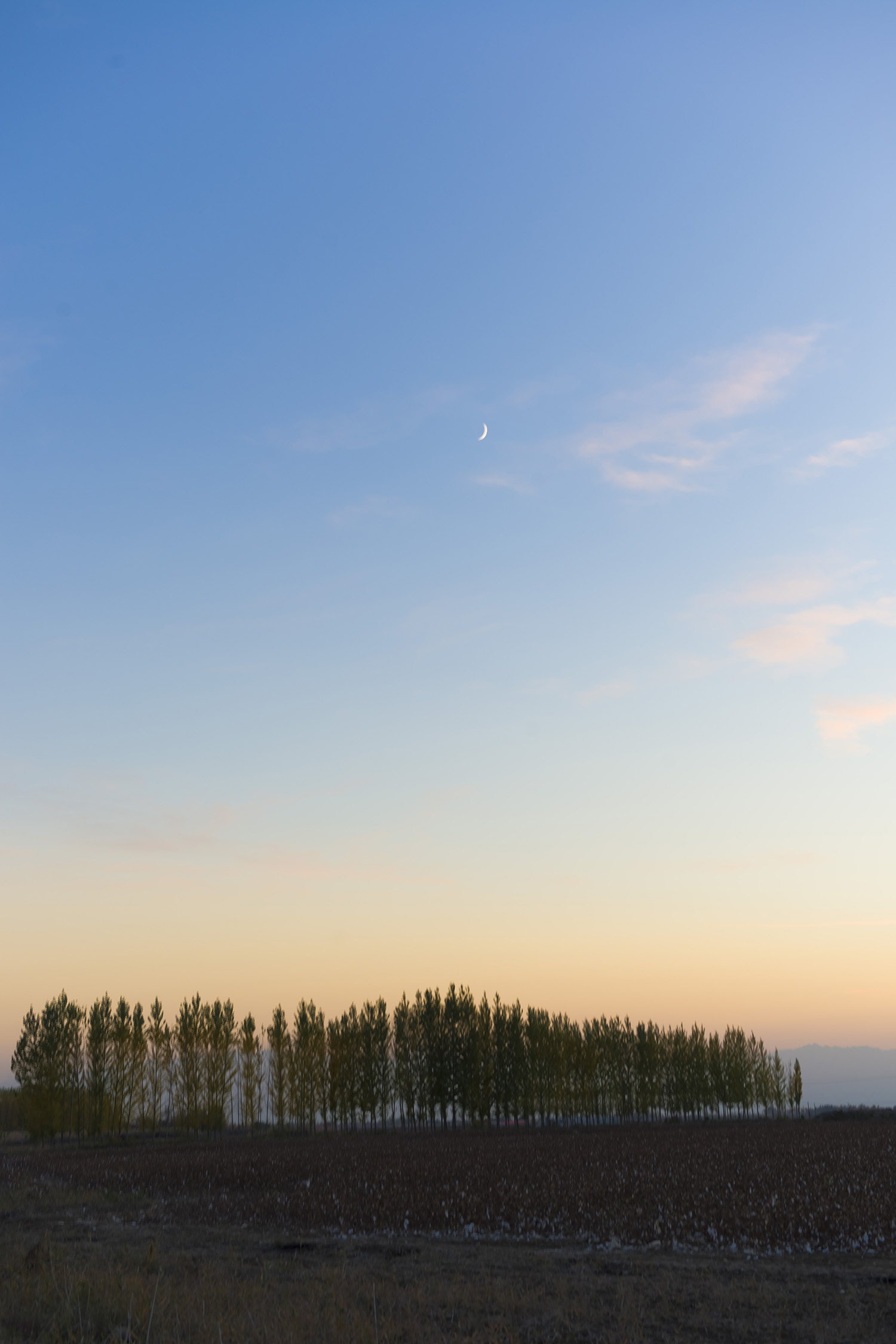 _DSC3877.JPG