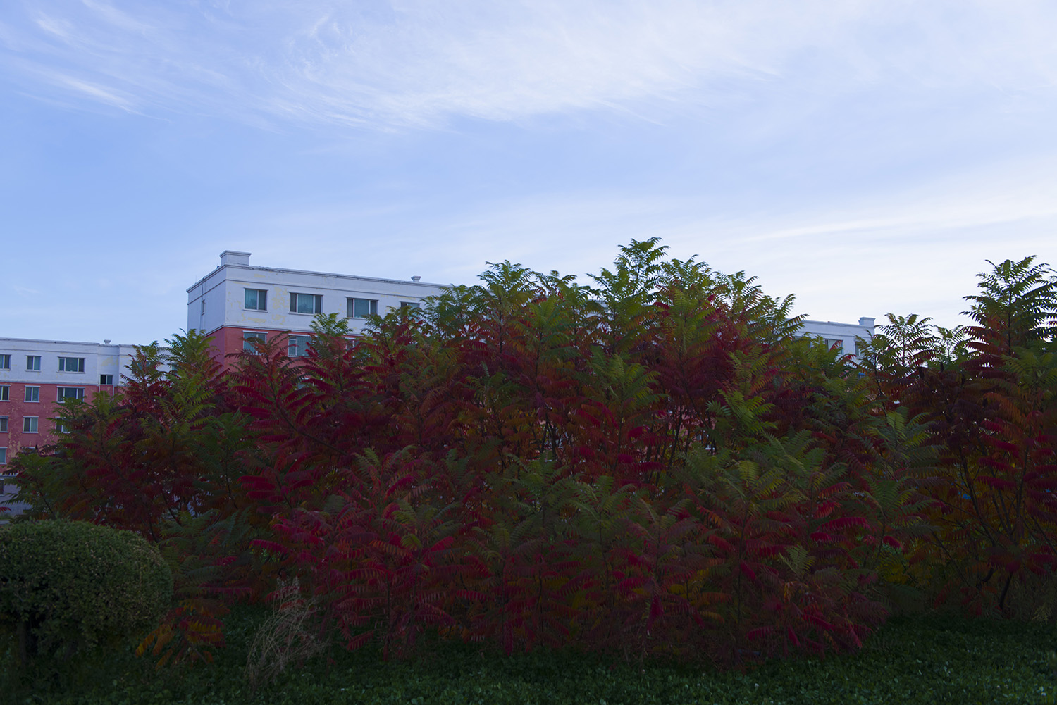 _DSC3505.JPG
