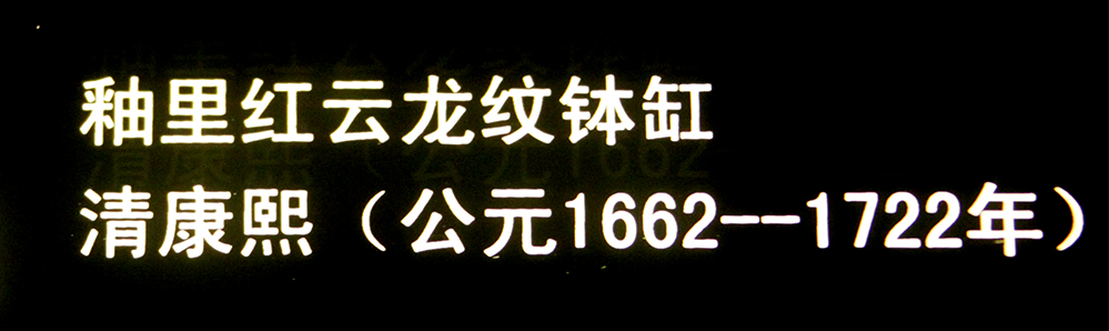 IMGL3730.jpg