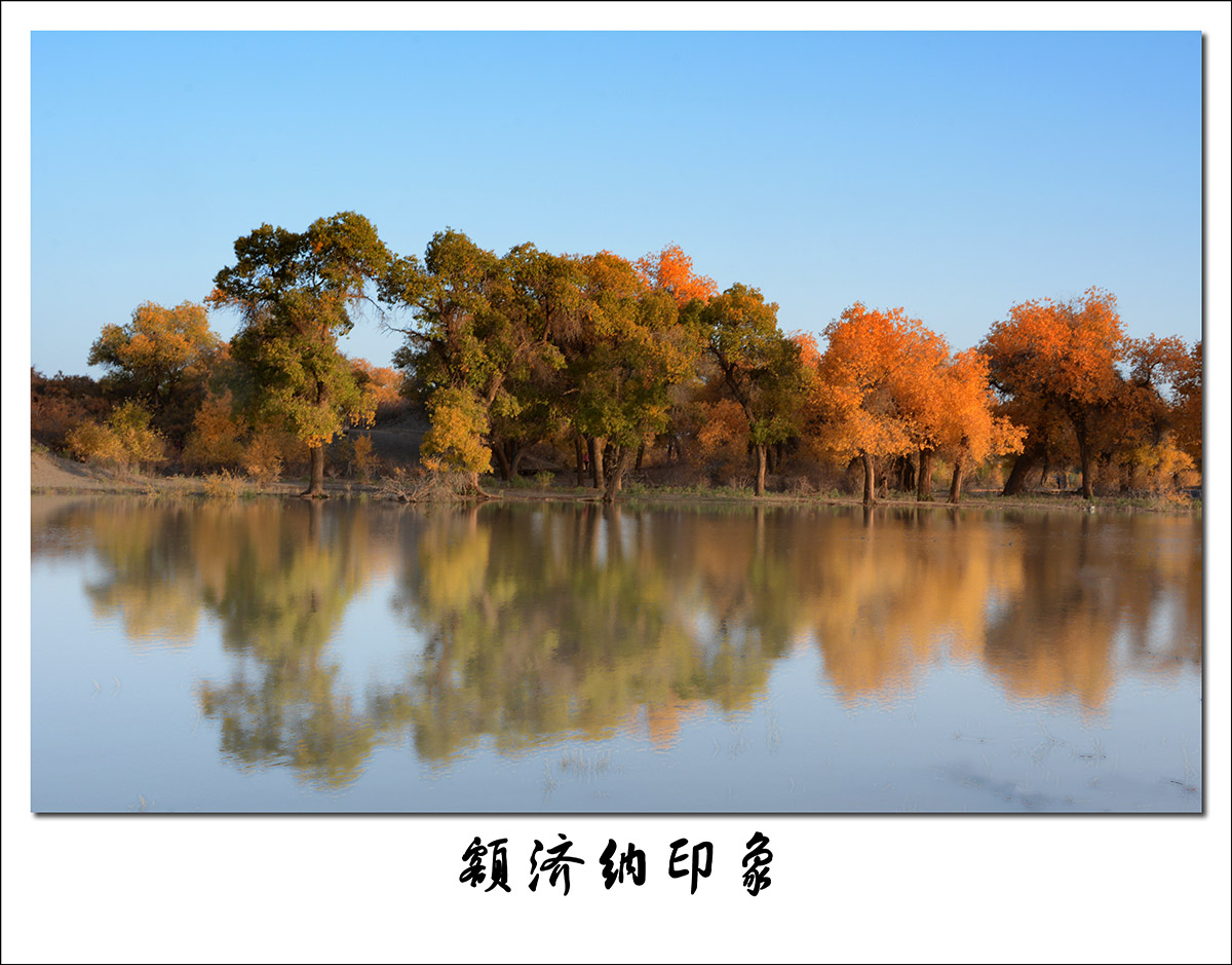 DSC_8036-2.jpg