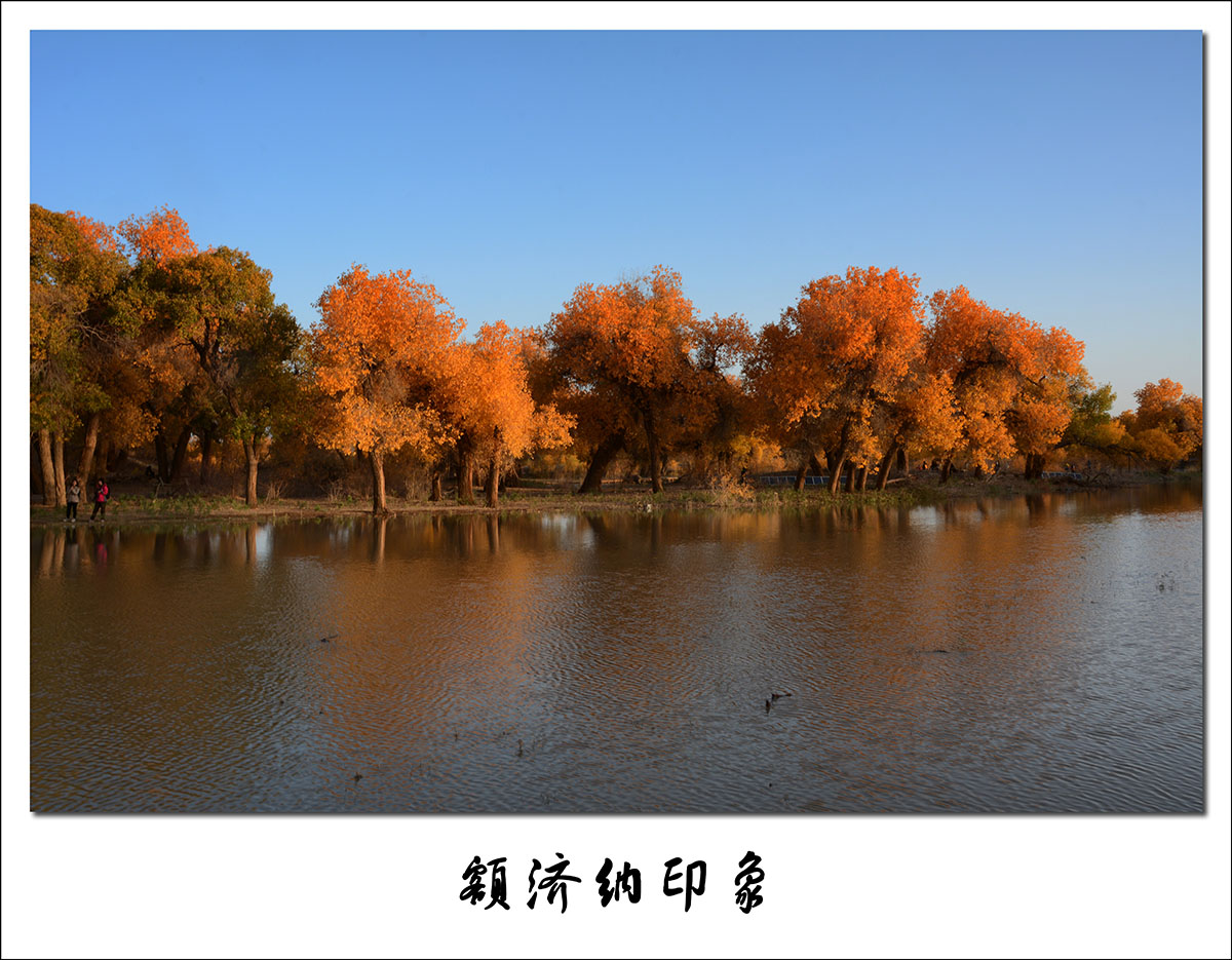 DSC_8040-2.jpg