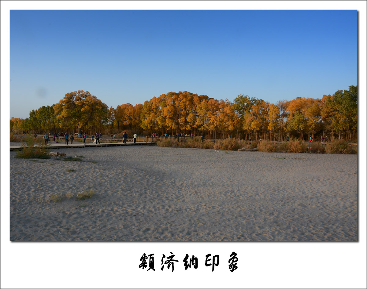 DSC_8014-2.jpg