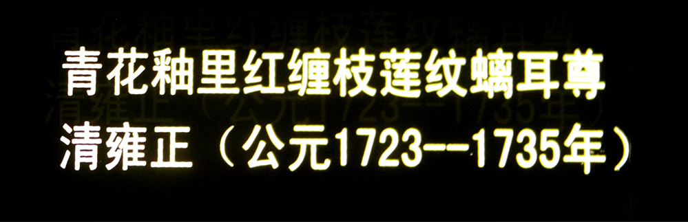 IMGL3732.jpg