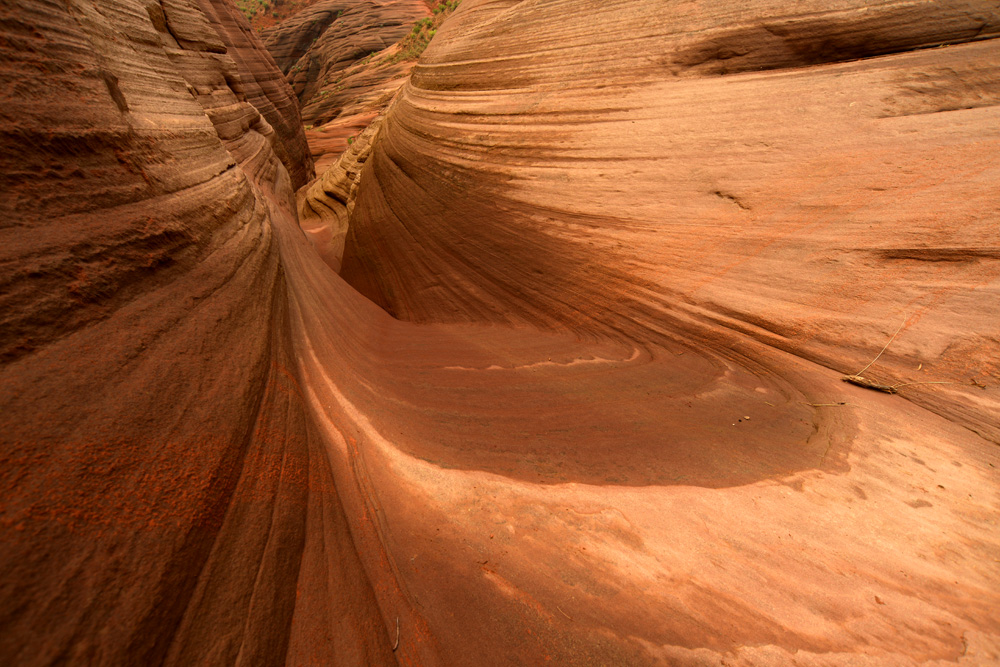DSC_1529.JPG