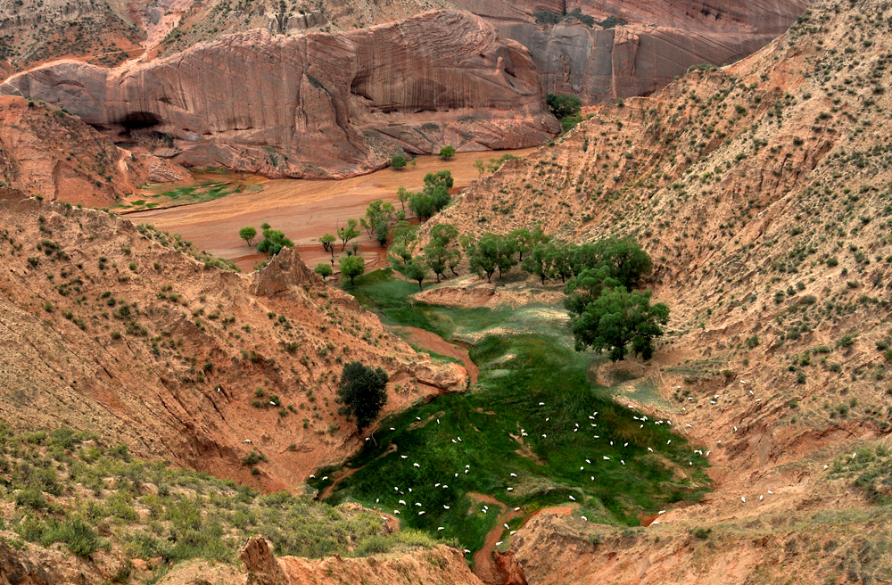 DSC_0012.JPG