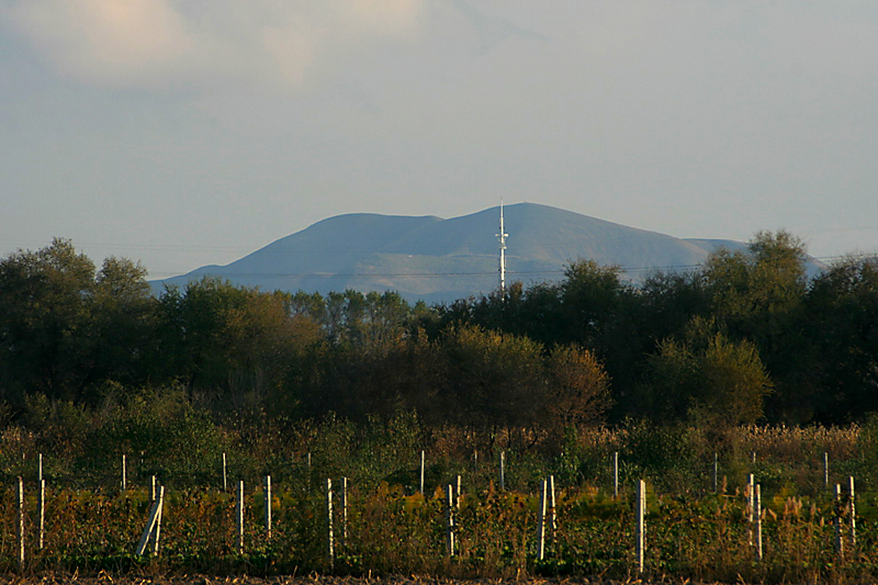 IMG_7648_.jpg