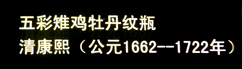 IMGL3736.jpg