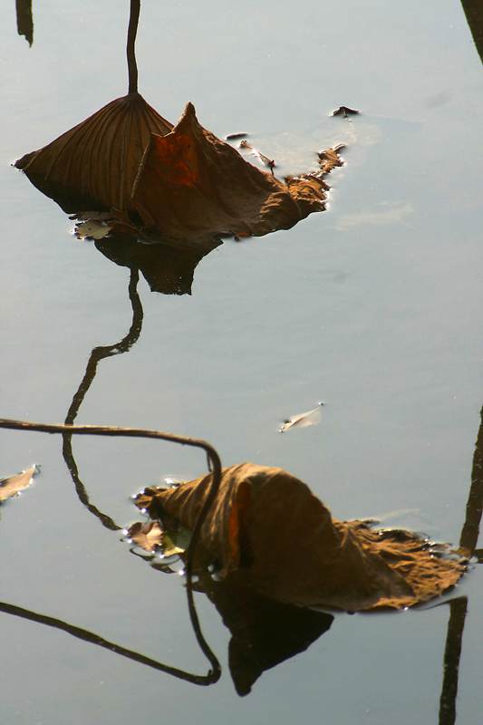 IMG_7768_.jpg