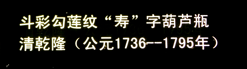 IMGL3745.jpg