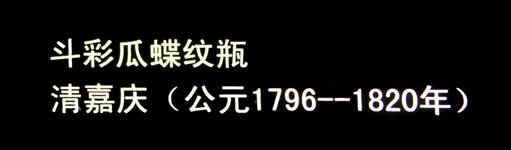 IMGL3747.jpg