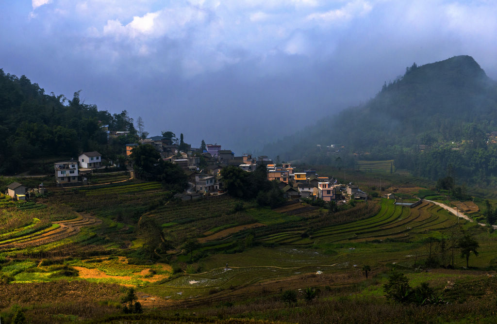 _DSC8006.jpg