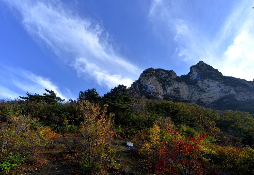 DSC_4368.JPG
