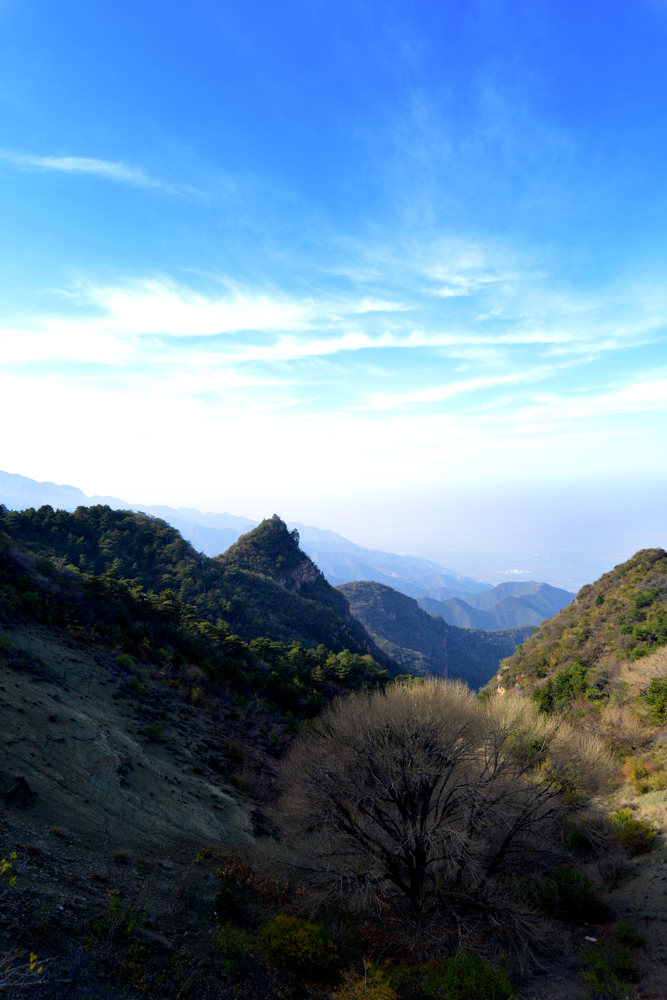 DSC_4370.JPG