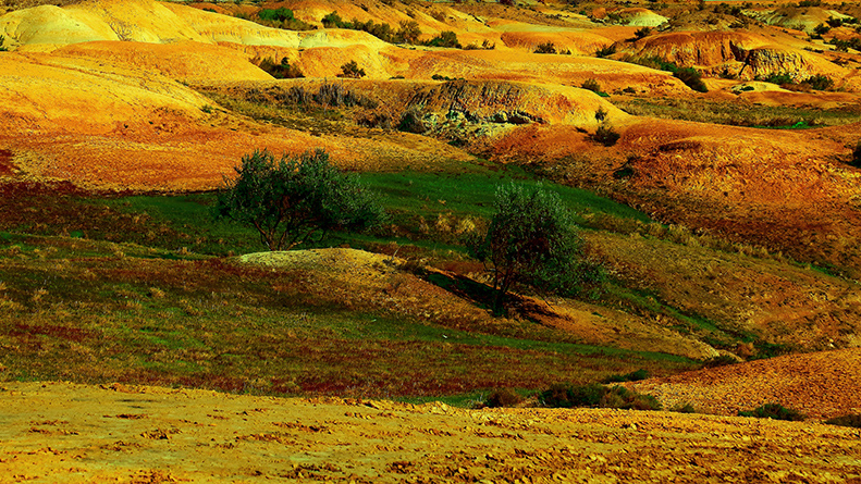 ŵò (1).jpg