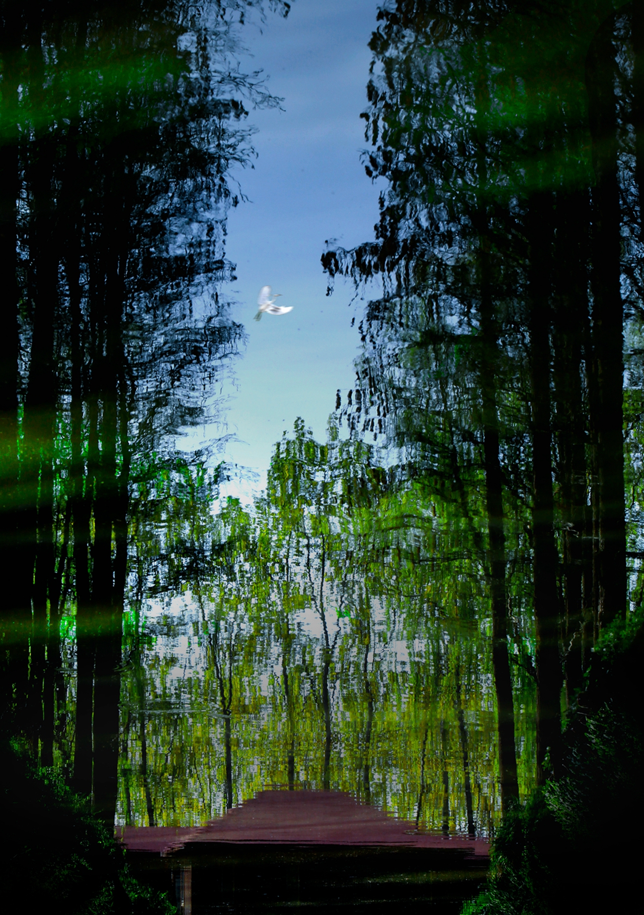 Ǯ-E4.jpg