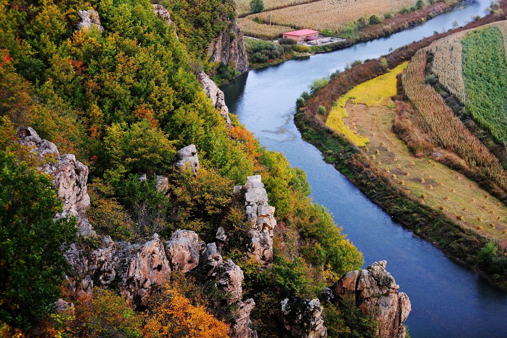9C2G0465_conew1.jpg