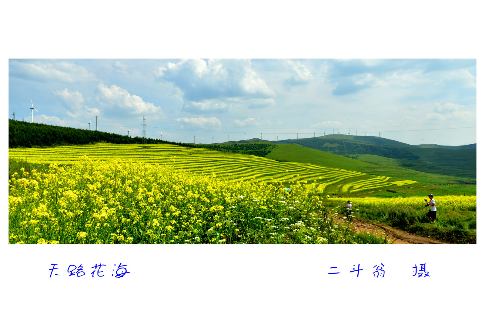 DSC_6234__1.JPG