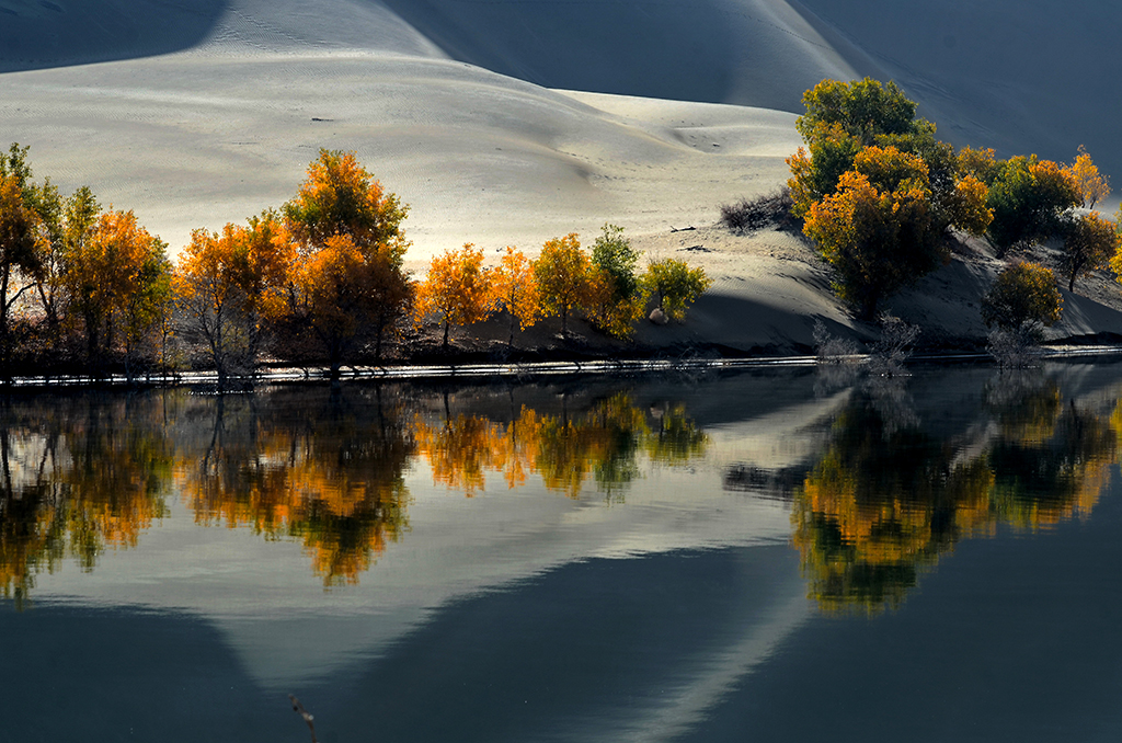 DSC_2890-1.jpg