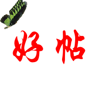 2345_image_file_copy_1.jpg