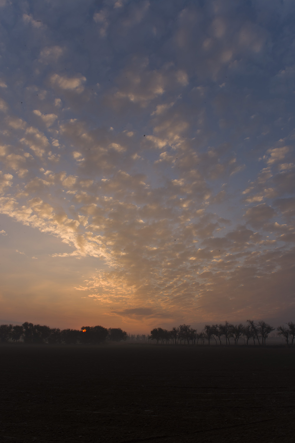_DSC4538.JPG