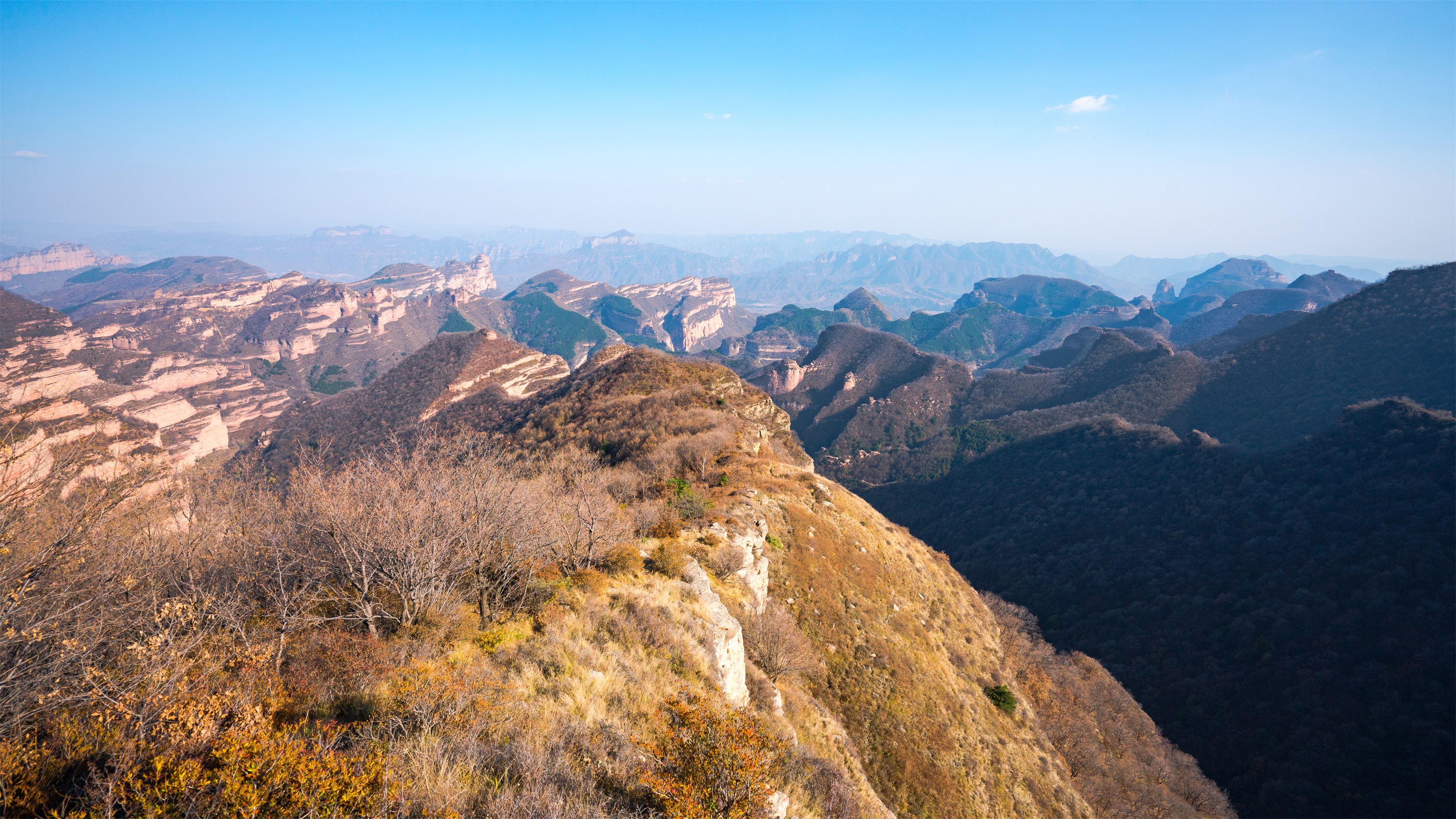 DSC02144a.jpg