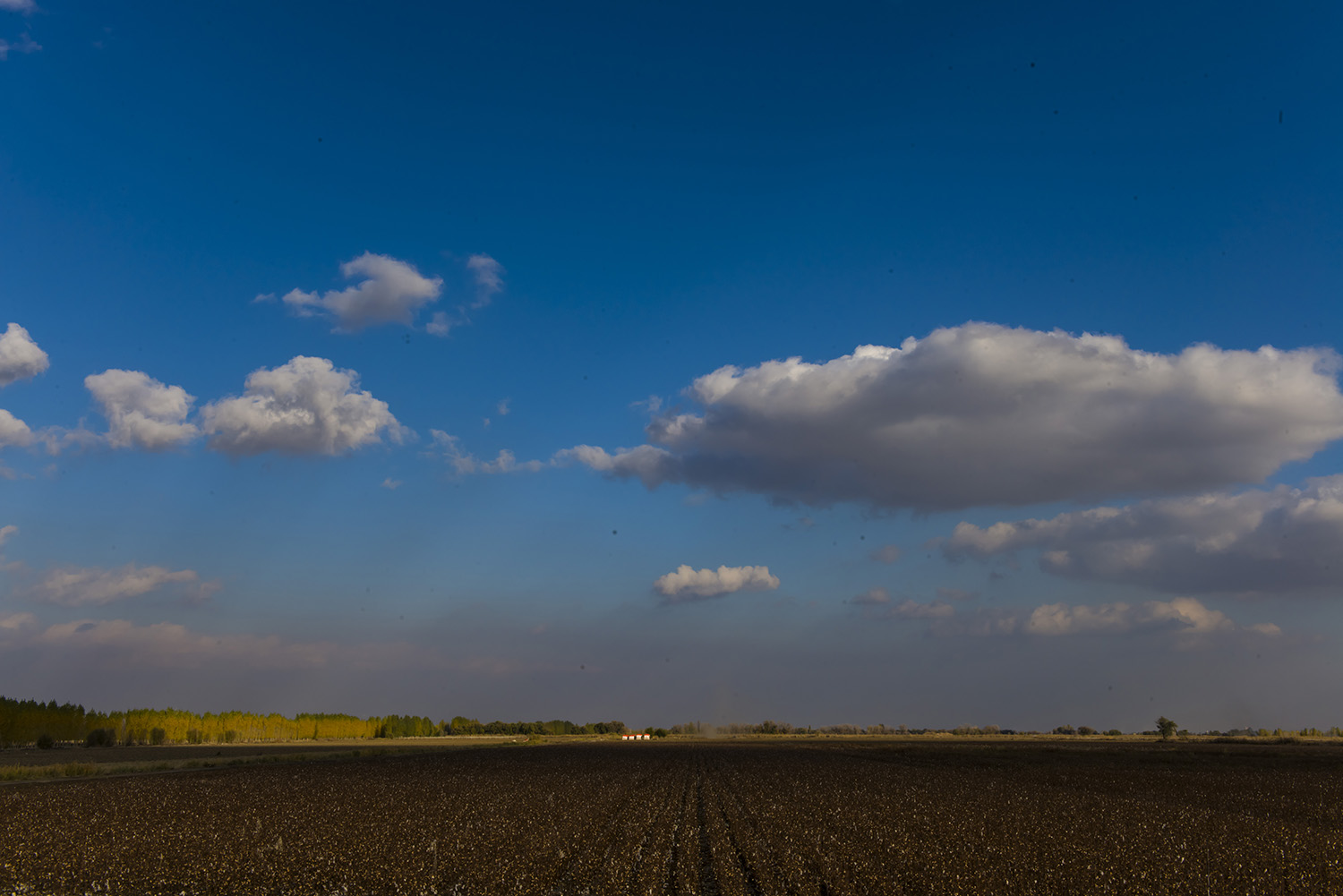 _DSC4206.JPG