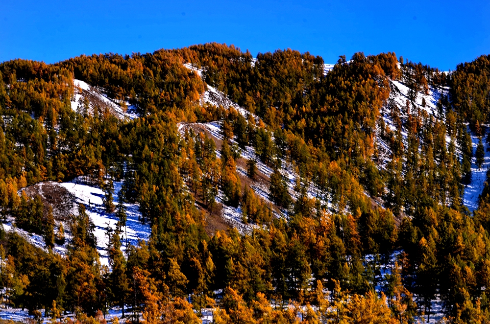 DSC_1620-1.jpg