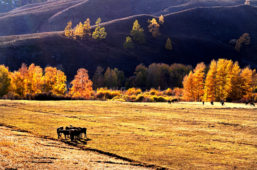 DSC_1681-1.jpg
