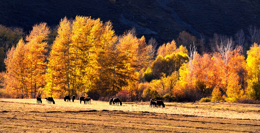 DSC_1679-1.jpg