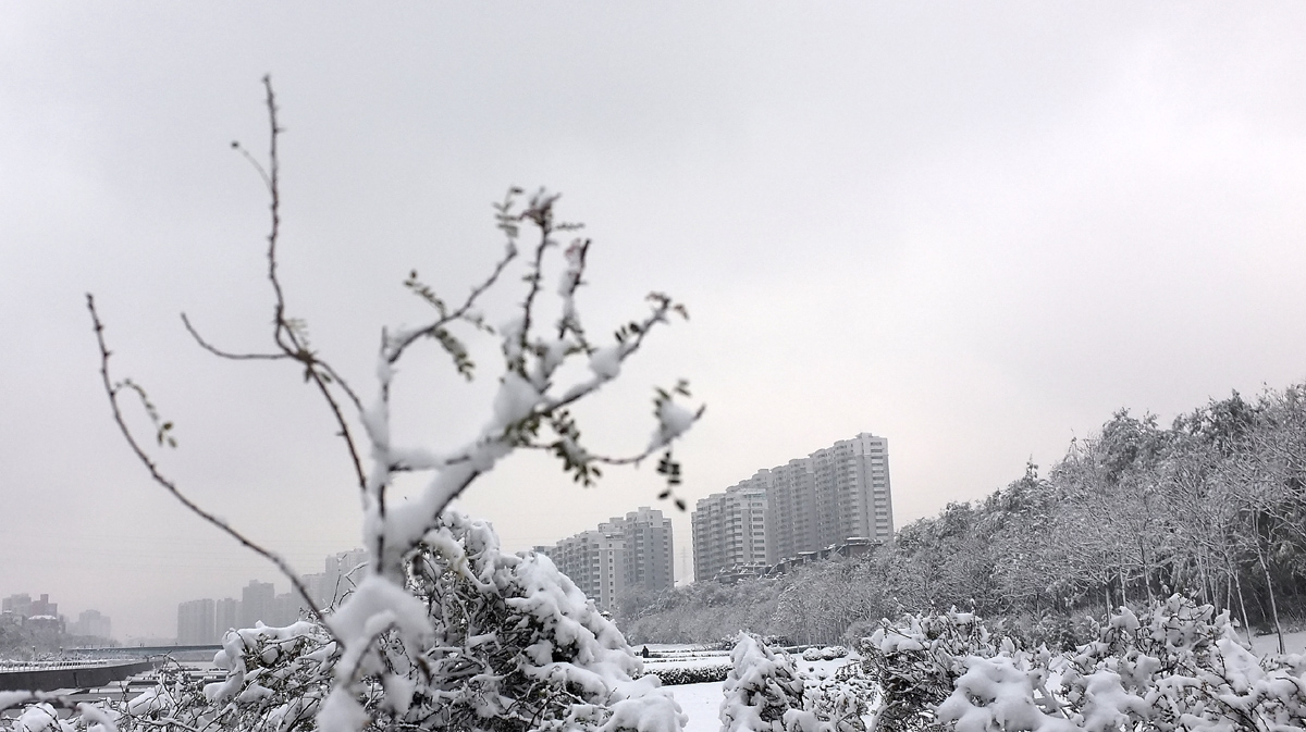 DSCF7669.JPG