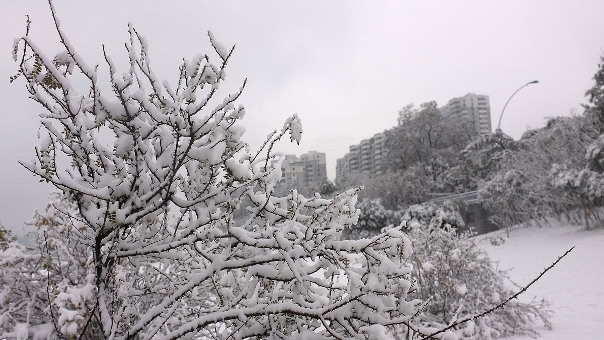DSCF7680.JPG