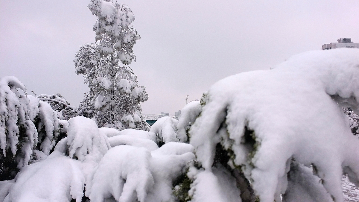 DSCF7689.JPG