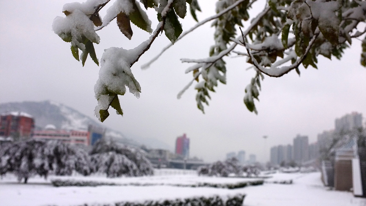 DSCF7698.JPG