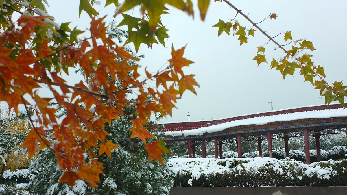 DSCF7725.JPG