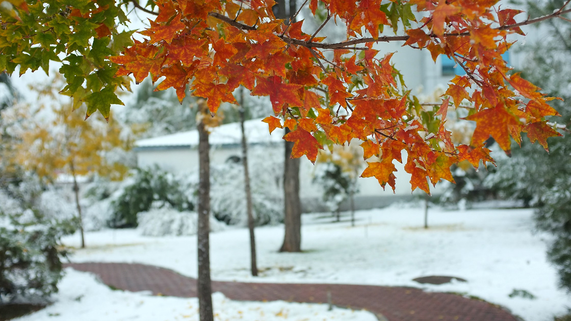 DSCF7736.JPG