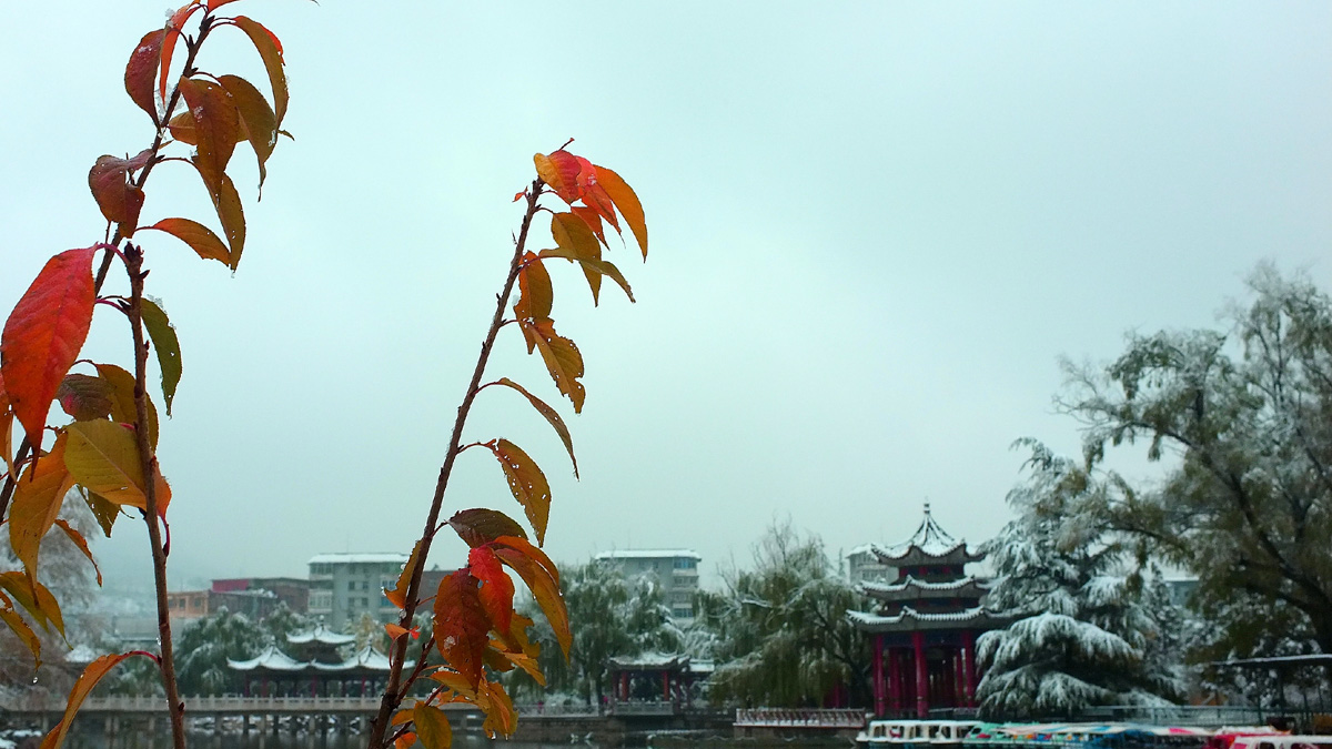 DSCF7758.JPG